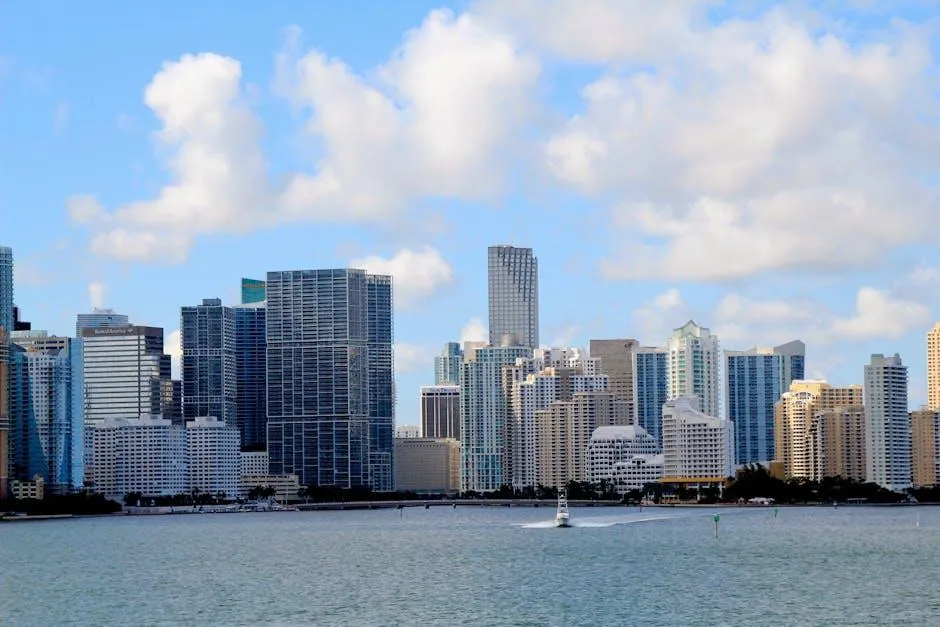 seo agency miami