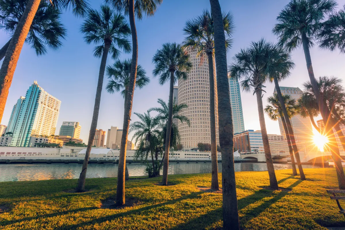 Downtown of Tampa
