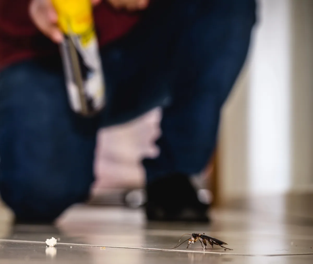  Small Pest Problems Can Lead to Big 