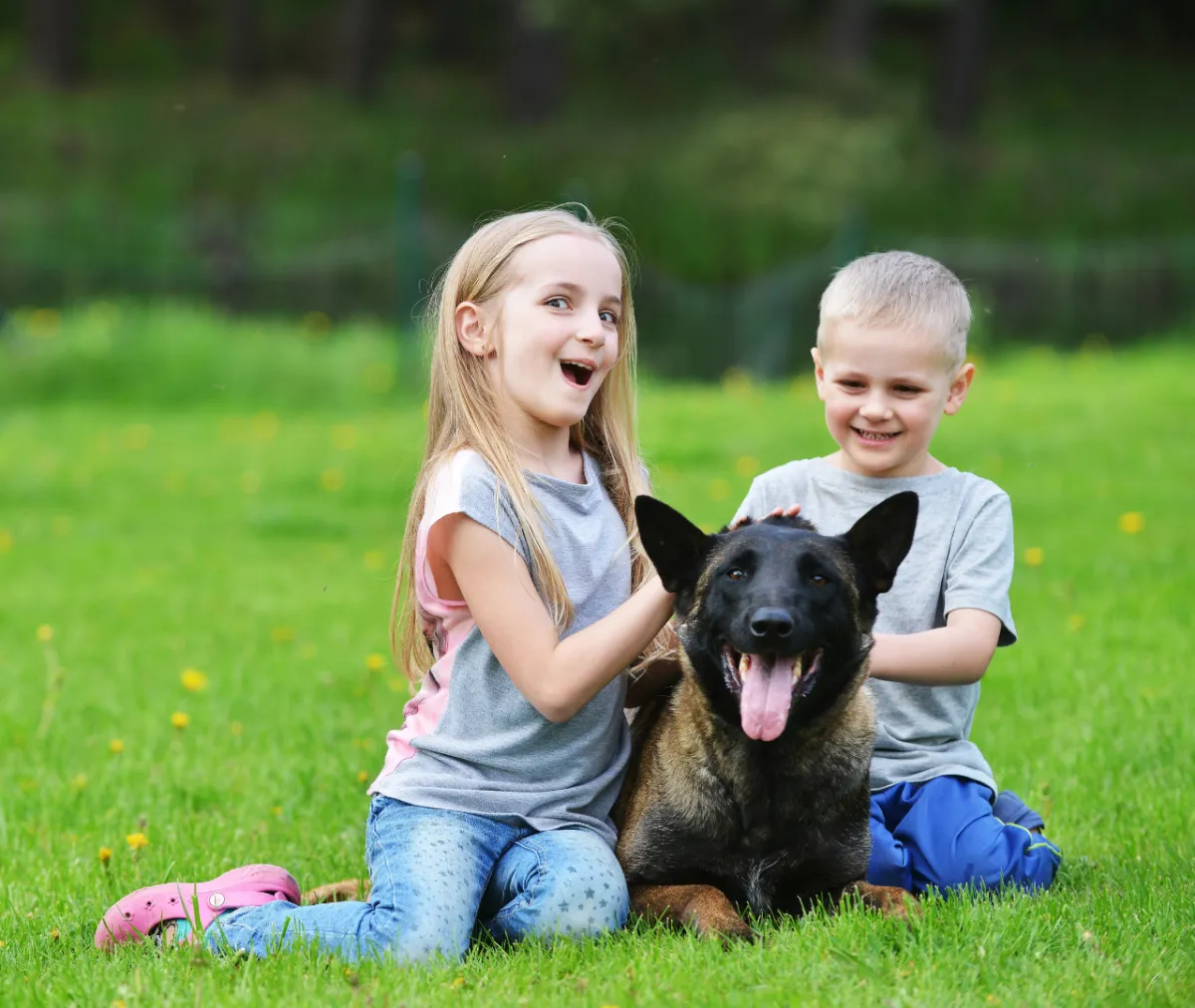 Families Protect Their Homes from Dangerous