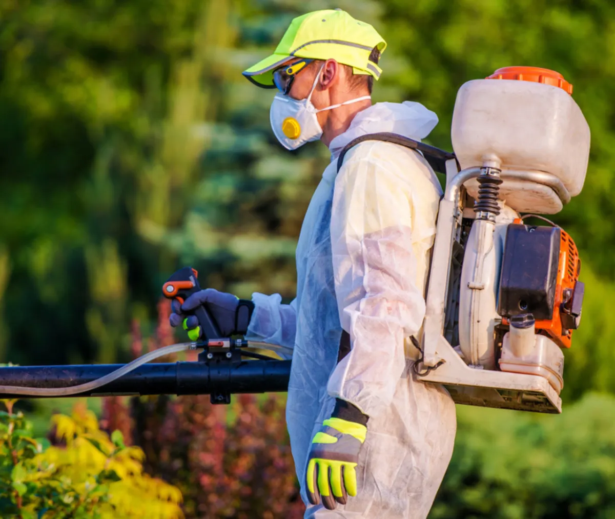 weather patterns in June increase pest risks