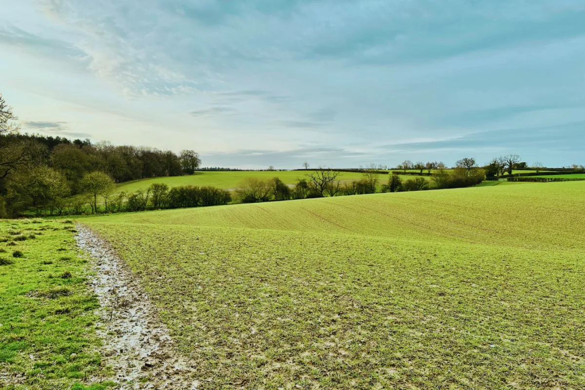 Isla's Quiet Burrow Radio Show