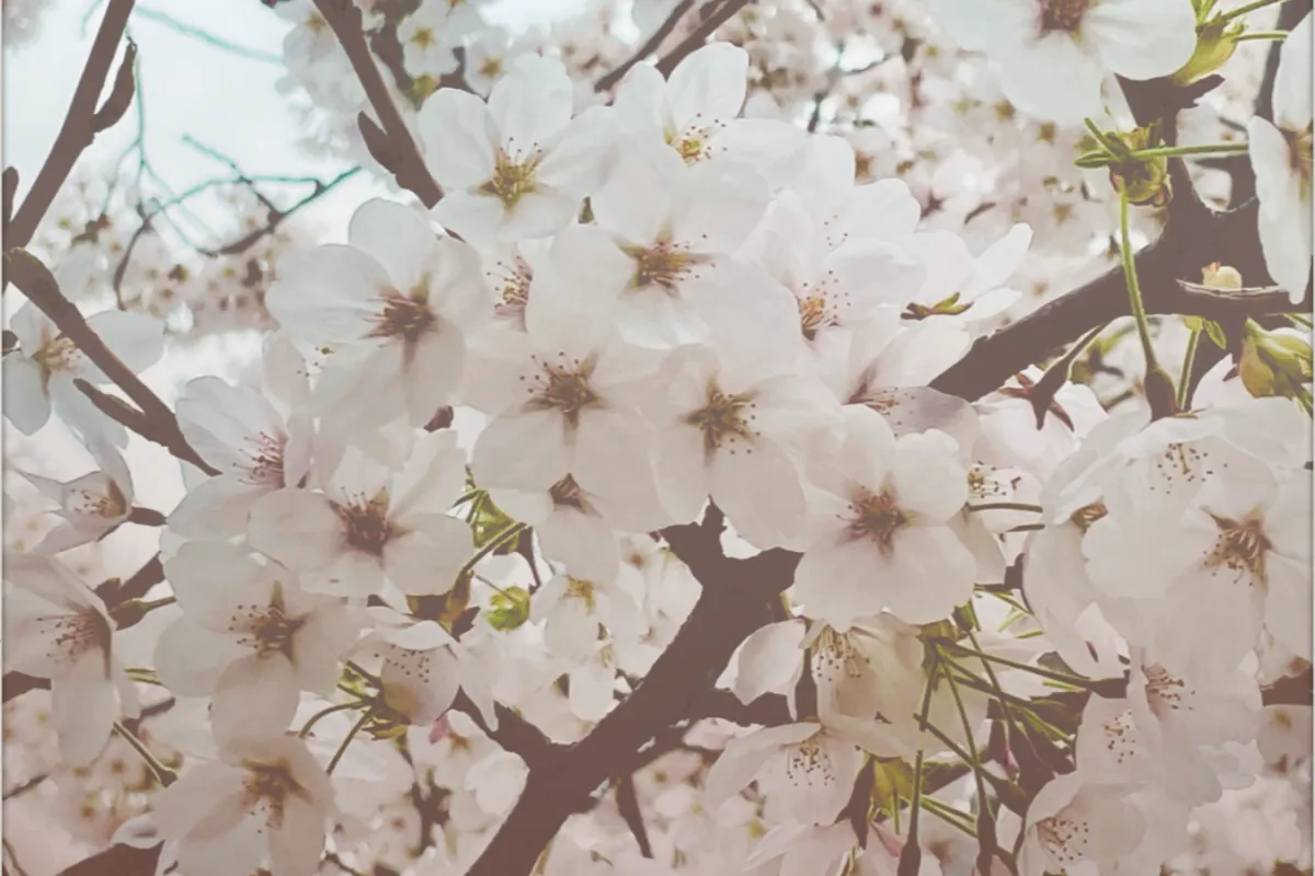 Abstract Audio Systems mix