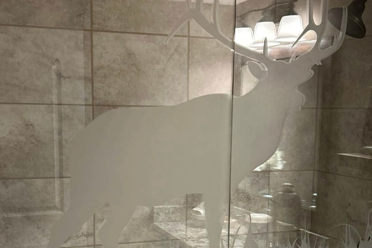 Custom etched frosted glass shower panel with wildlife design installed by RDB Glass in Dayton, Ohio. decorative bathroom glass, etched glass shower Dayton OH, frosted glass panels, custom shower glass art