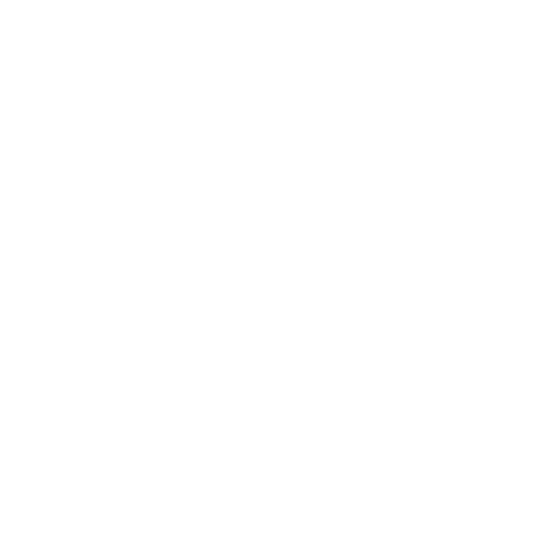 Graphic showing Web Buddy's SEO services