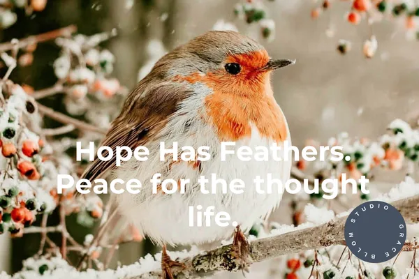 The Battle of the Mind: How to Take Every Thought Captive and Find Peace in Christ