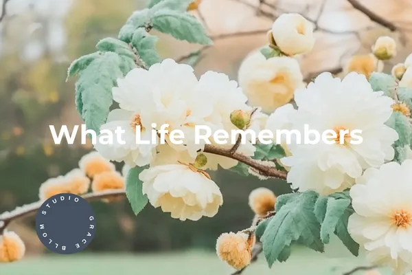 When Blood Cries Out: The Biblical Meaning of Bloodshed and the Sanctity of Life