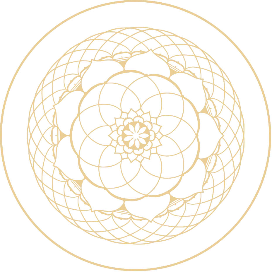 Wild Earth Experience