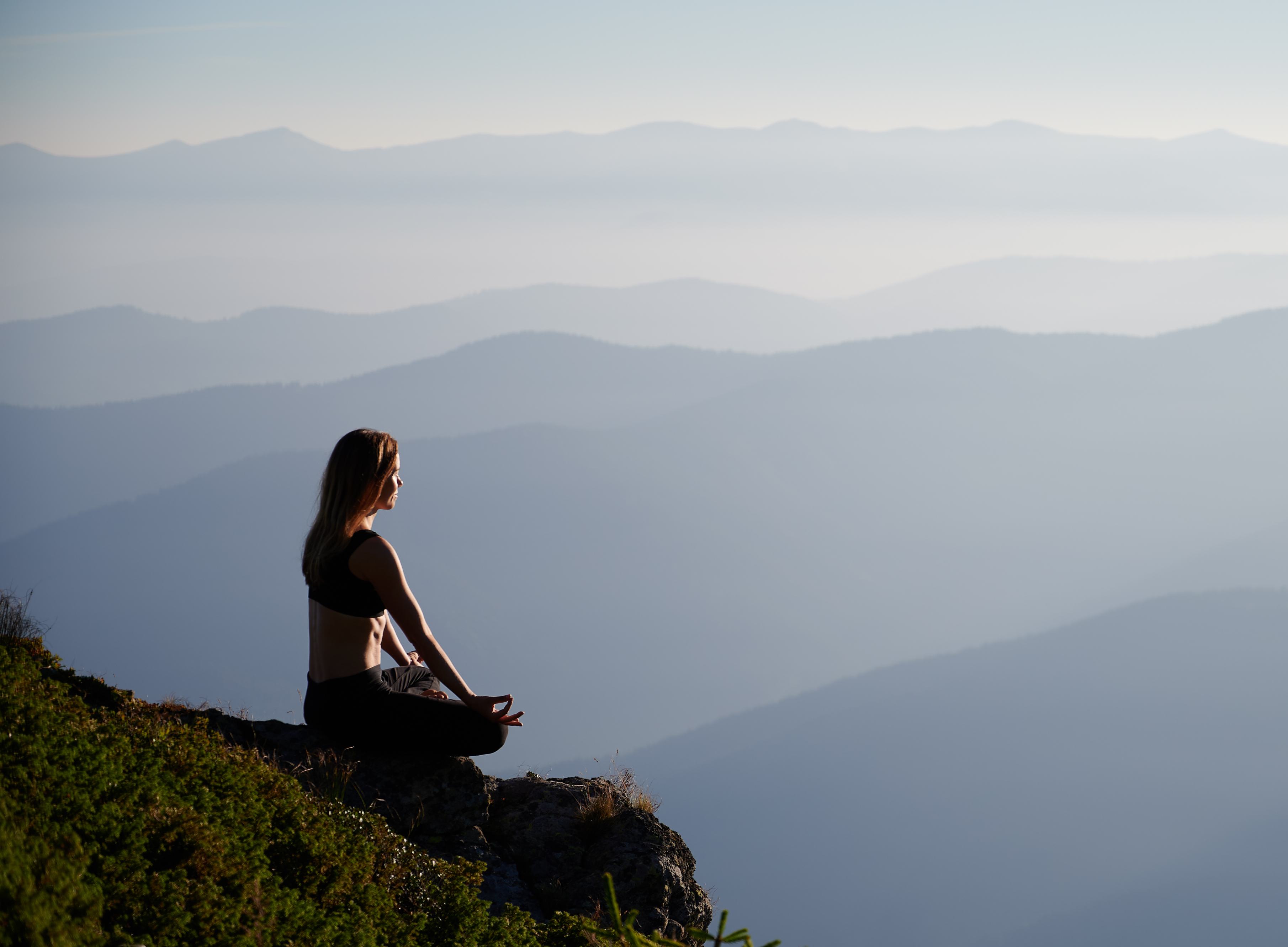 Finding Your Inner Steadiness: An IFS Workshop