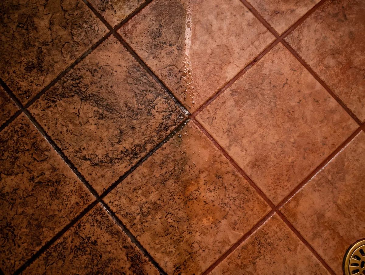 tile cleaning