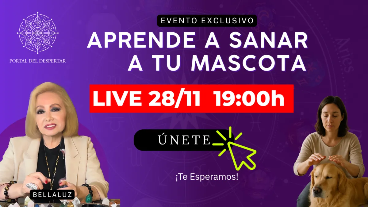 Evento Bella Sanación de Animales