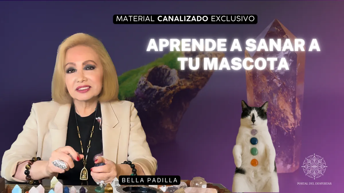 aprense a sanar a tu mascota
