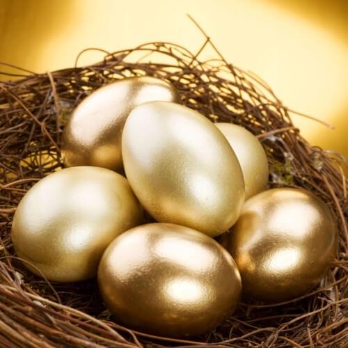 Golden eggs in a nest