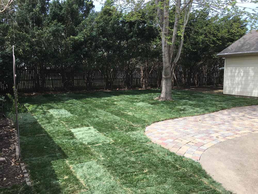 Lawn Care Services in Sedalia, Missouri