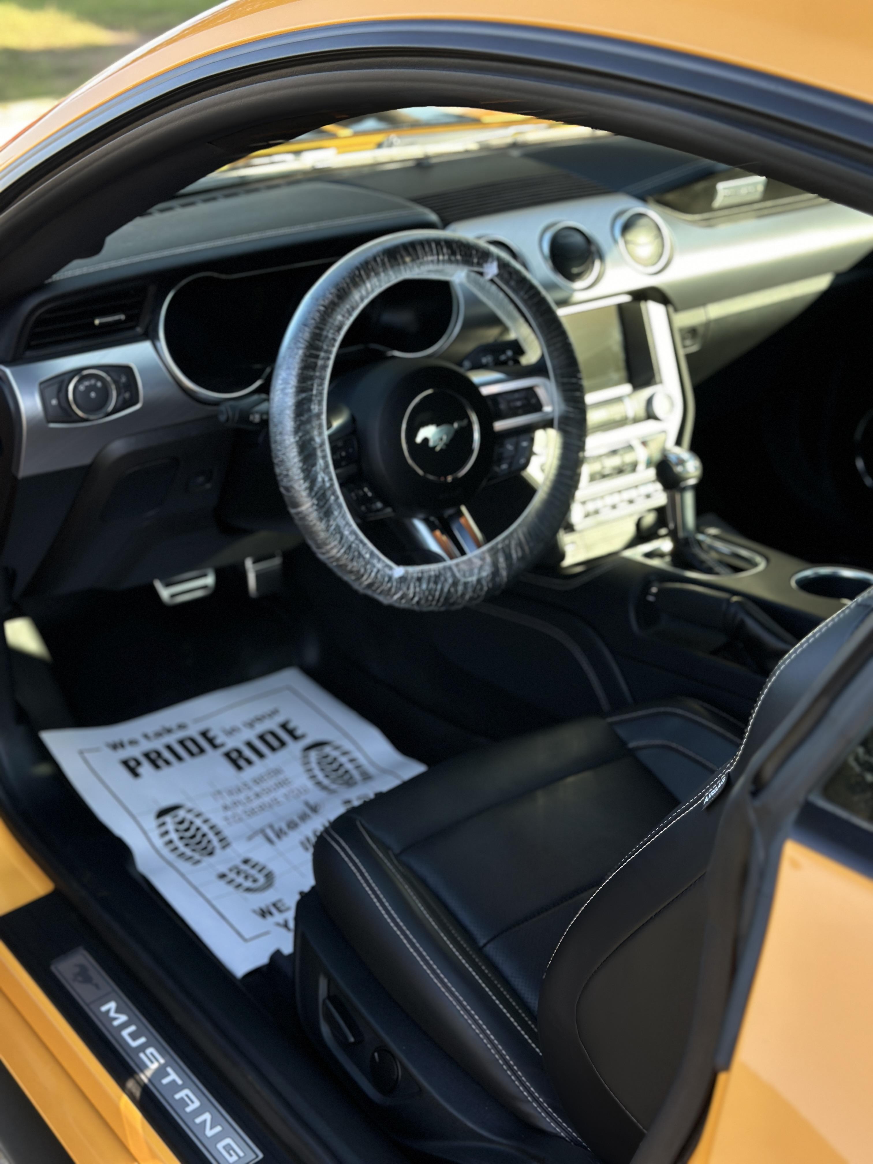 Professional Detailing at 78023