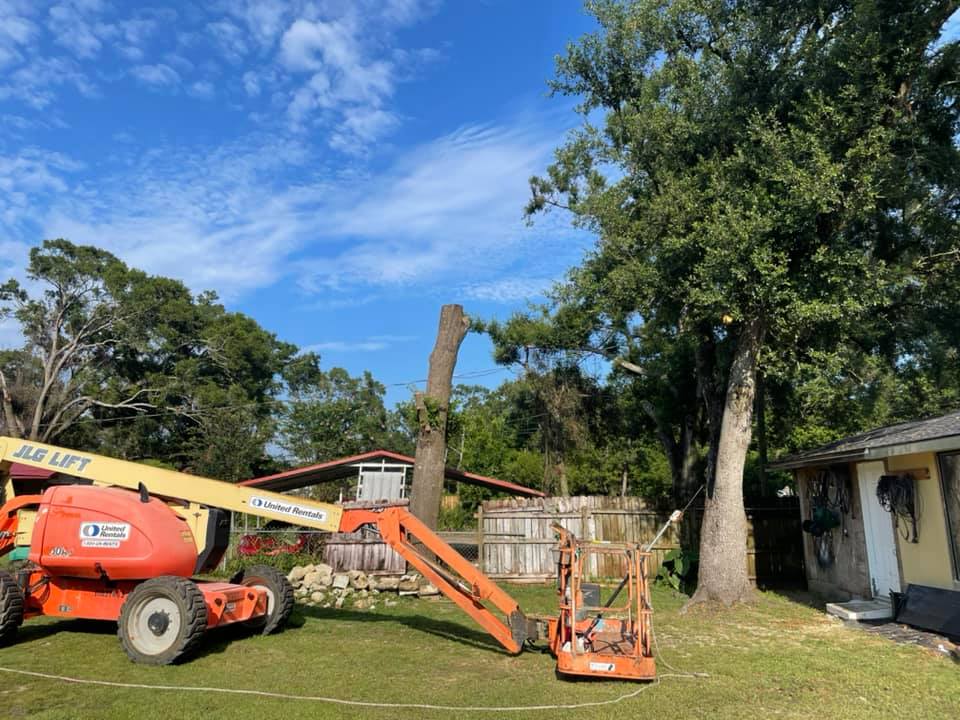 Tree Services & Property Cleanup