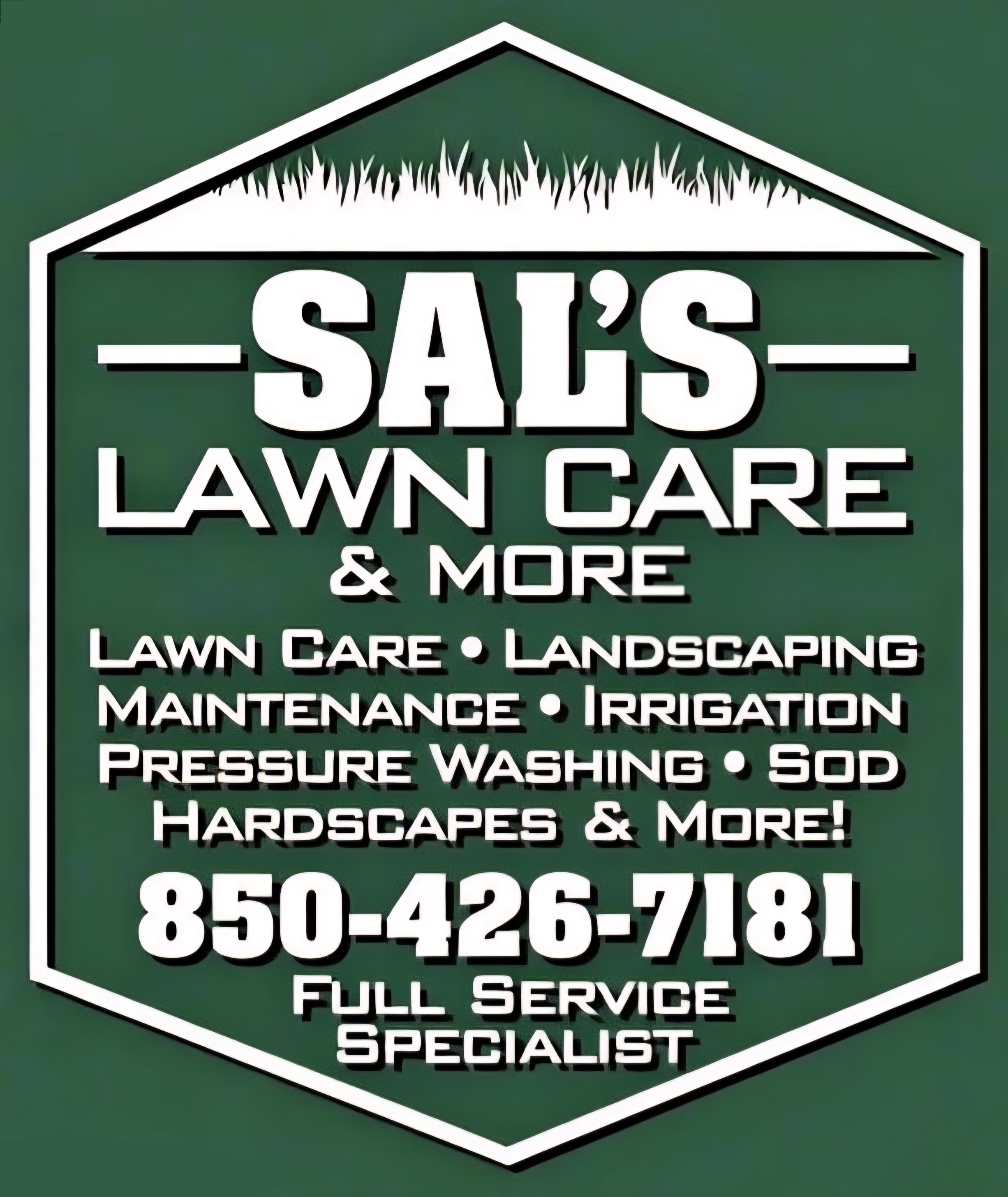 Salvatore Gargiulo Jr