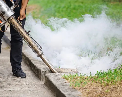 Insect Pest Control in Churchville