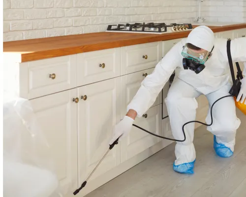 Residential Pest Control in Churchville