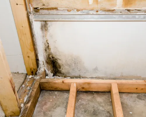 Mold Testing in Churchville