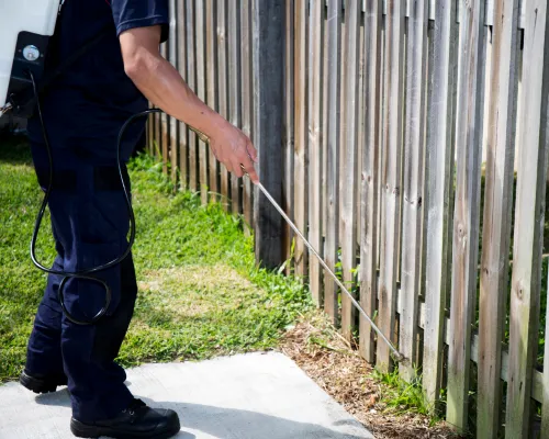Newtown Insect Pest Control