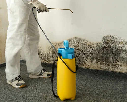 Termite Damage Repair Churchville