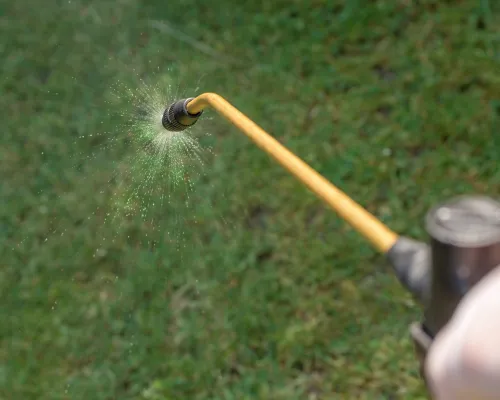 Residential Pest Control 