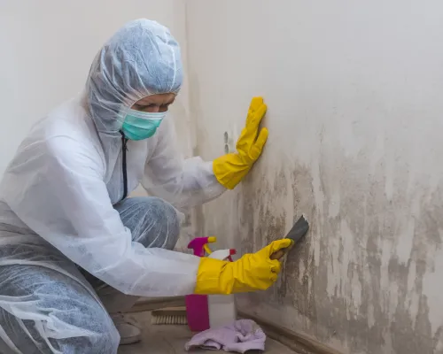 Mold Testing Churchville