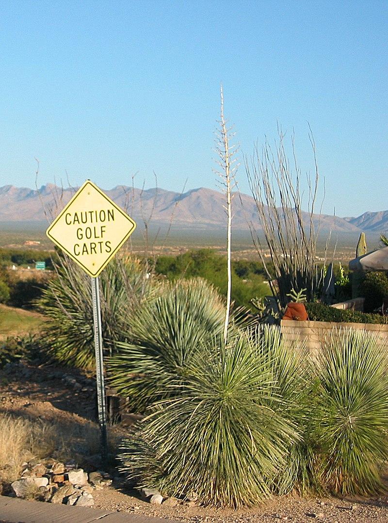 welcome sign to Colorado. Will take you to google page of lakewood co