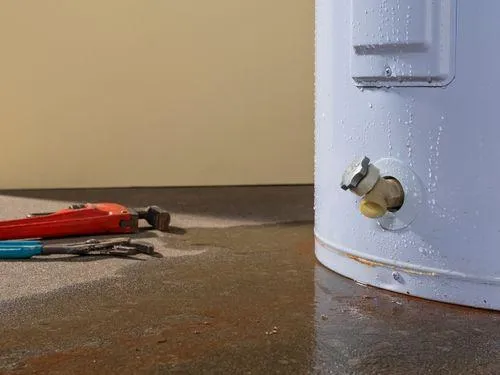 Leak Detection & Pipe Repair in Bryn Mawr