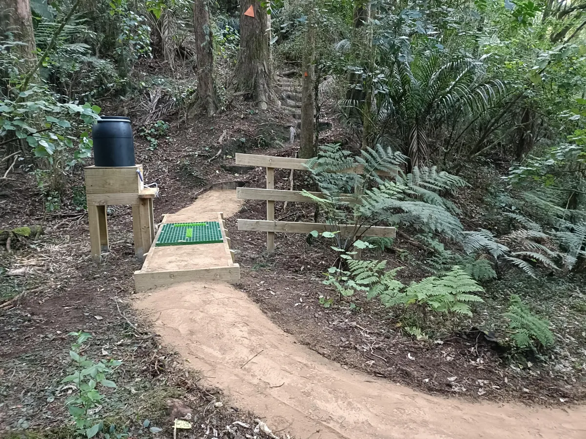 Freshly formed bush track winding through native forest built to DOC specs