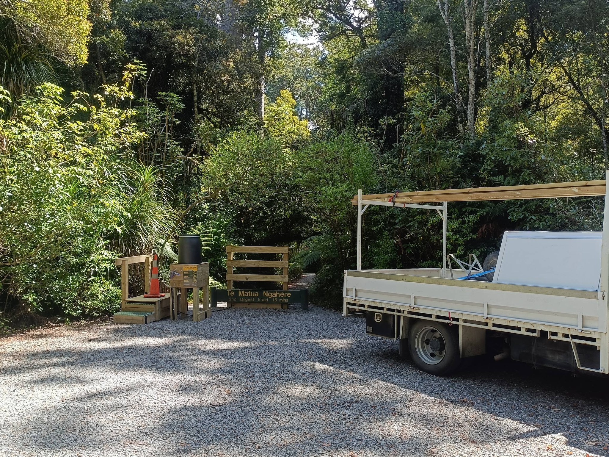 Kauri‑safe bush track construction through native forest in Whangarei