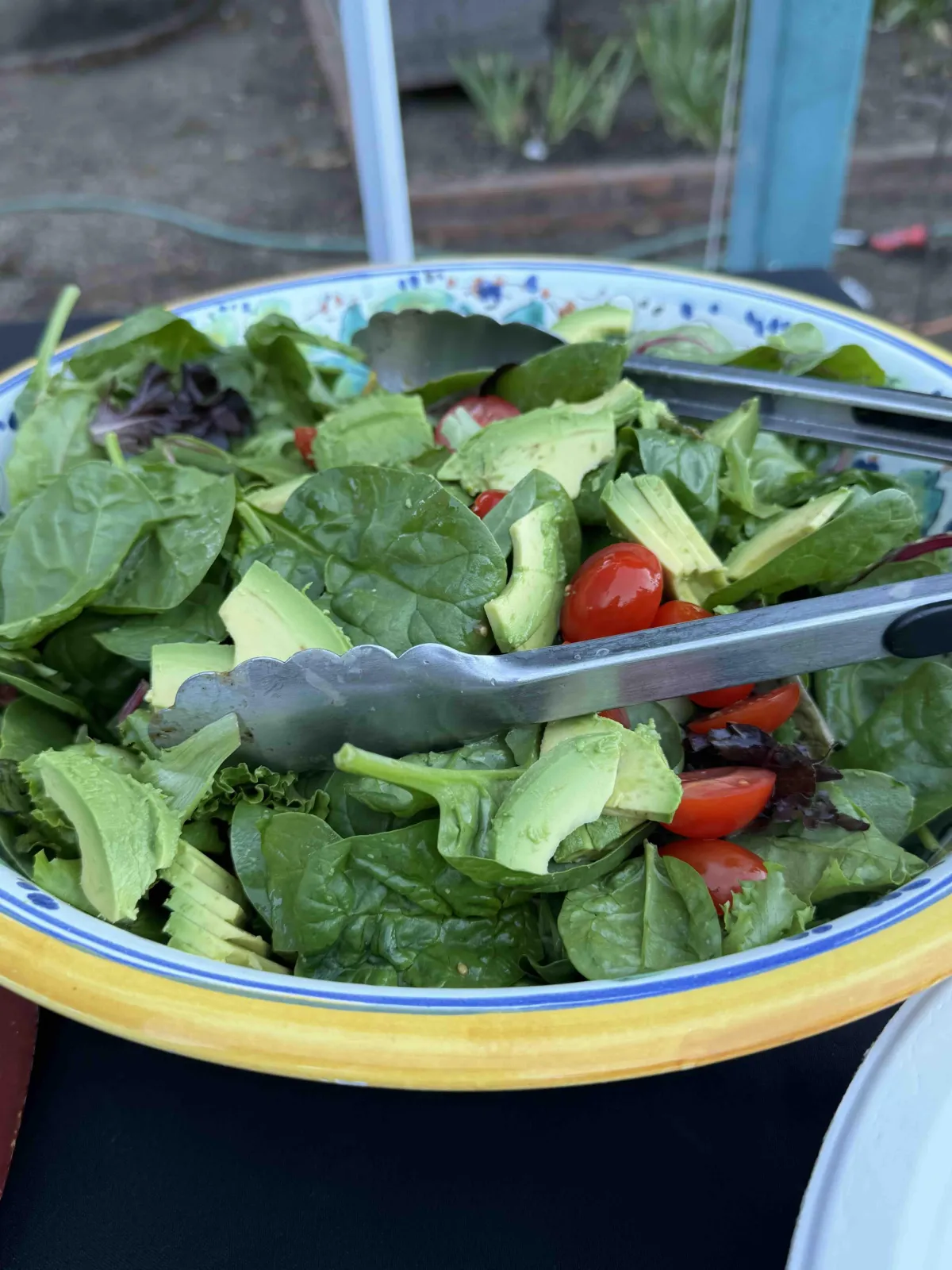 Garden Salad