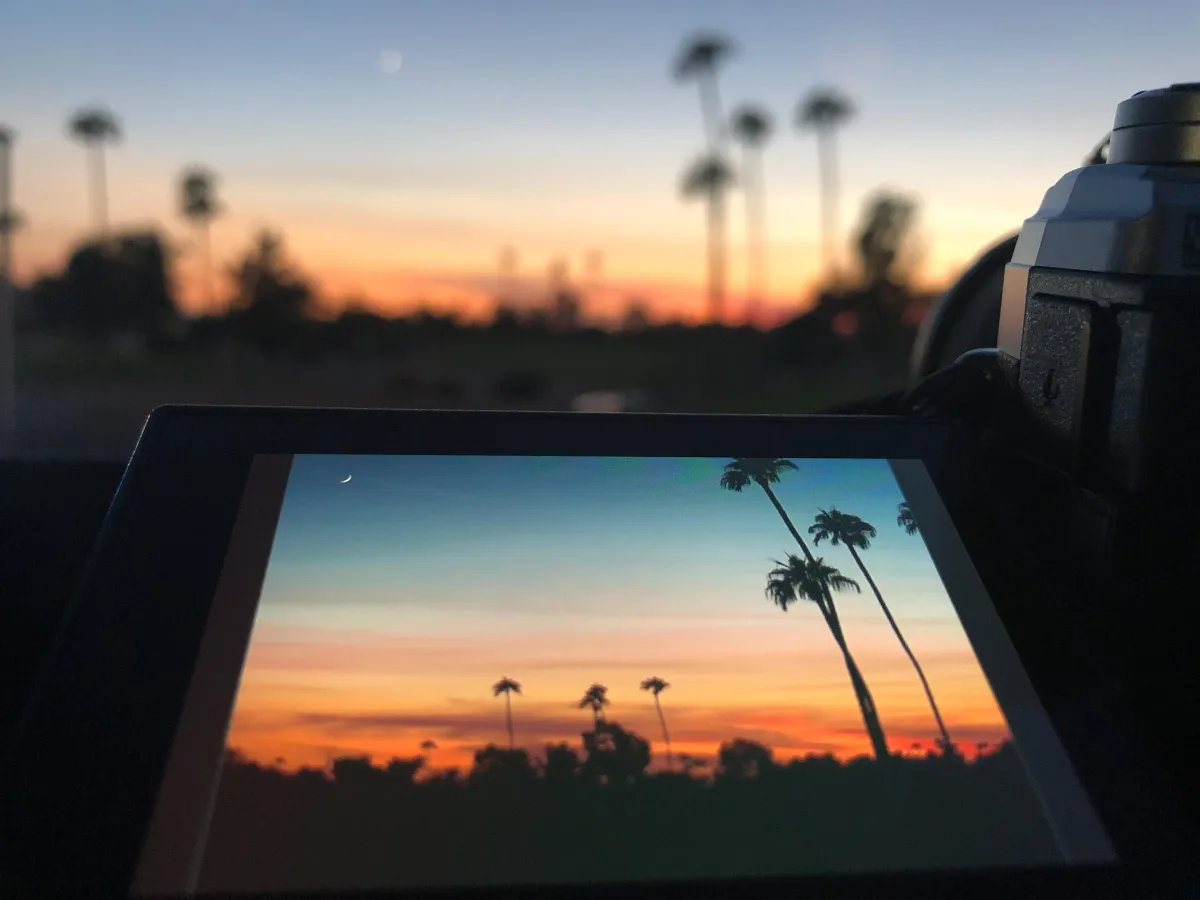 tilting camera screen reveals the oranges and blues of sunset with palms and sliver of moo which are also visible in the distance