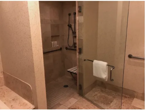 bench grab bars and shower head visible through opened door of shower