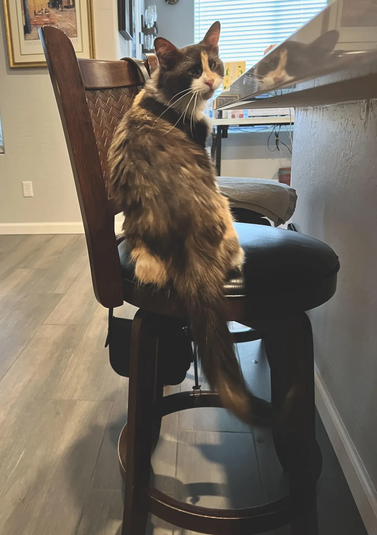 Heather sitting on her power wheelchair bundled in a sweater and lap parka wearing sunglasses and a hat holding her camera supported by a robotic arm