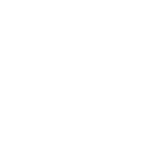 Mobile Mechanics