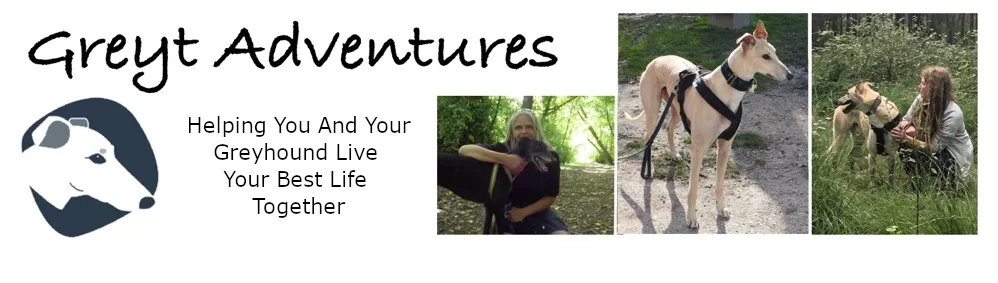 Greyt Adventures Header