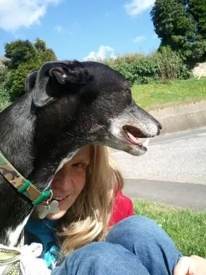 Ammy and Radley Greyhound