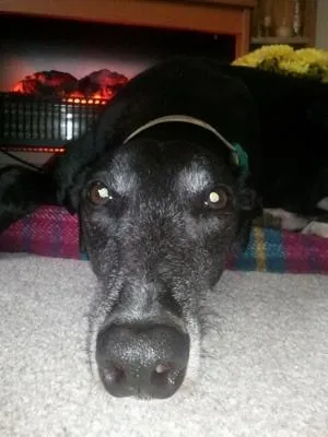 Radley 02/05/06 - 28/09/14
