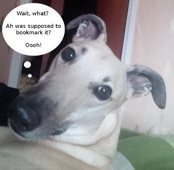 Yogi Greyhound