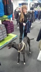 Radley Shopping
