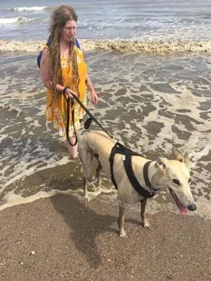 Sunny enjoying a day on the beach