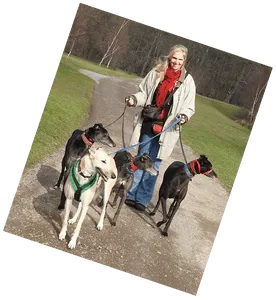 Ammy with hounds