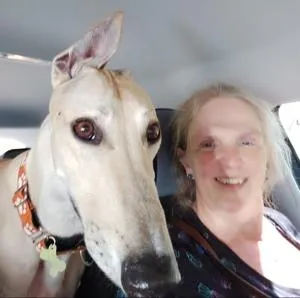 Sunny road tripping