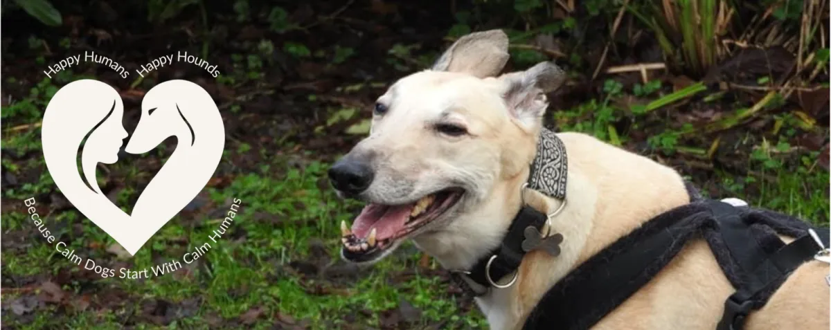 Happy Hound