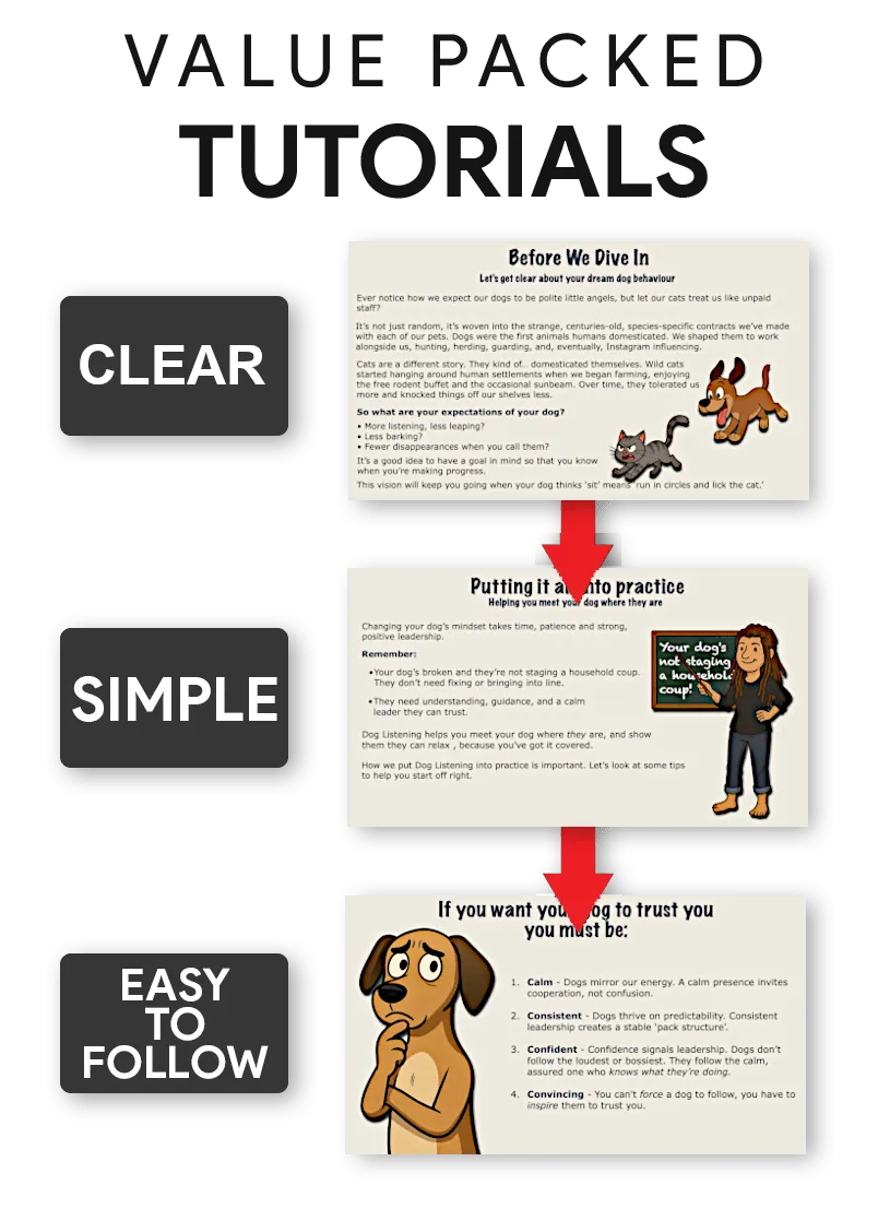 Easy simple easy to follow video tutorials