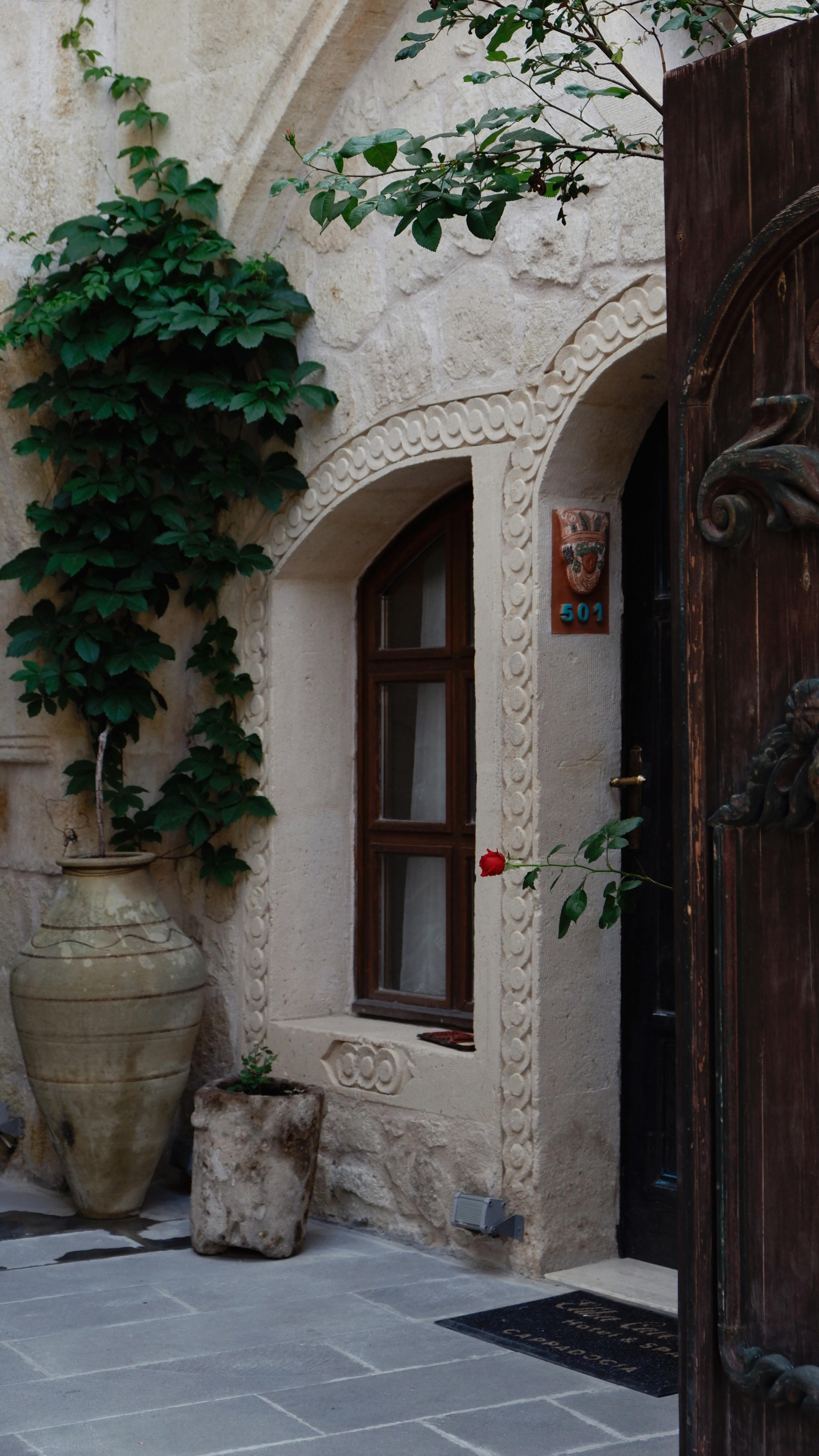  Interior & Exterior Painting