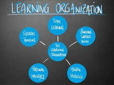 organisational learning to develop a learning culture