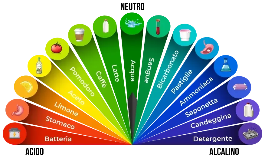 brown rocky shore with green moss and blue sea water during daytime